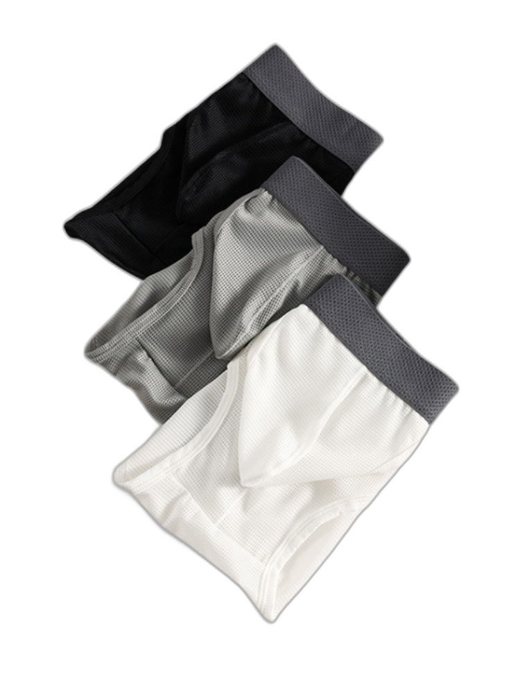 3 Pack Men's Low-Rise Mesh Briefs with Breathable Support & Convenience Fly
