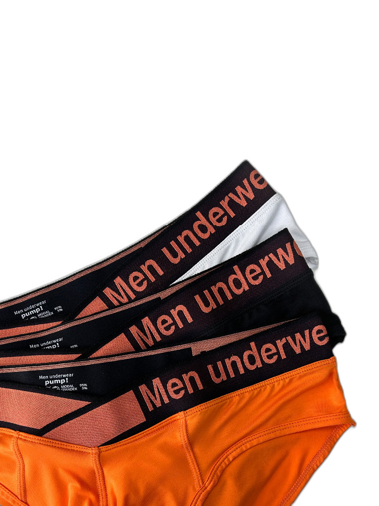 2 Pack Men's Stylish V-Shaped Waistband Briefs