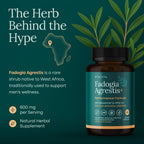 Organic Fadogia Agrestis 600mg for Natural Test Support – 60ct, 2x Purity, 3x Absorbent – Athlete Approved