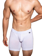 2 Pack Men's Trendy Breathable Ice Silk Boxer Briefs
