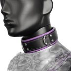 Harness, Cuff, Collar Bundle Purple