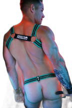 Breedwell Daddys Favourite Bulldog Harness Green
