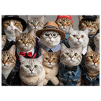 fddf8088-8765-466b-a24a-cf6ae9390ad4