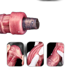 Bulger - Fantasy Silicone Dildo - Centaur Dildo - Knot Dildo