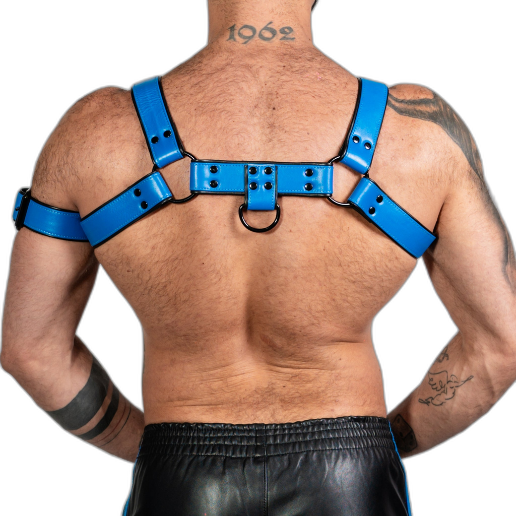 ruff GEAR Bold Leather Bulldog Harness Blue