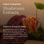 True Grace One Daily Men's Multivitamin - Fermented Minerals, Organic Adaptogens & Mushrooms