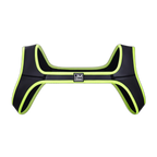 Shoulder Harness