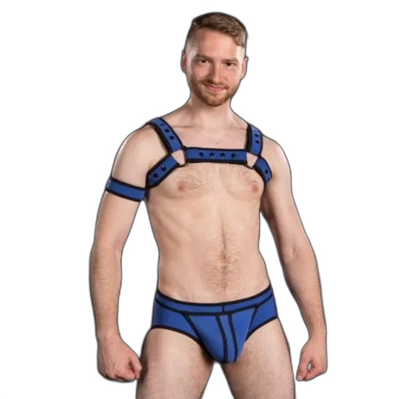 Mr S Leather Neoprene Bulldog Harness | Blue