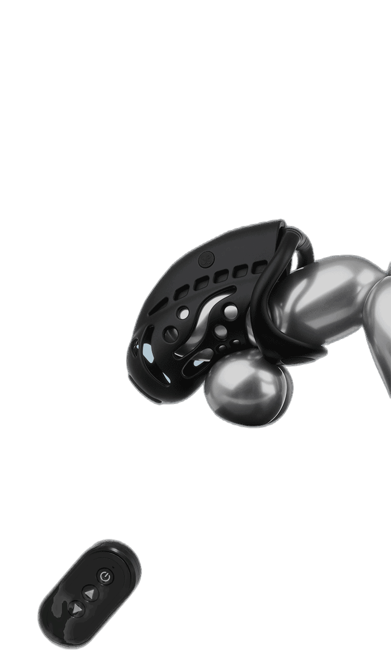 Remote Control Shock Chastity Cage