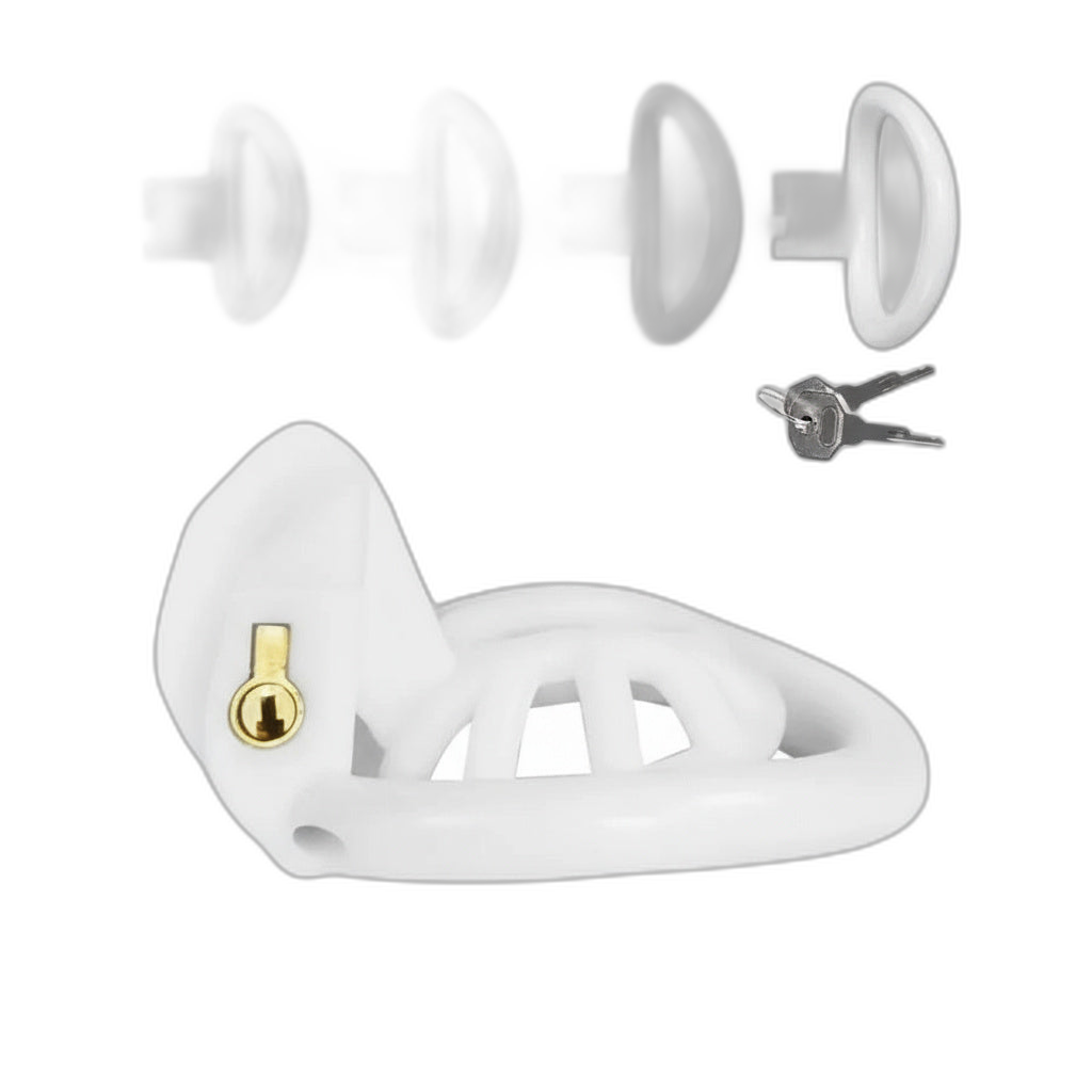 PushTech Chastity Cage With 4 Ring Sizes