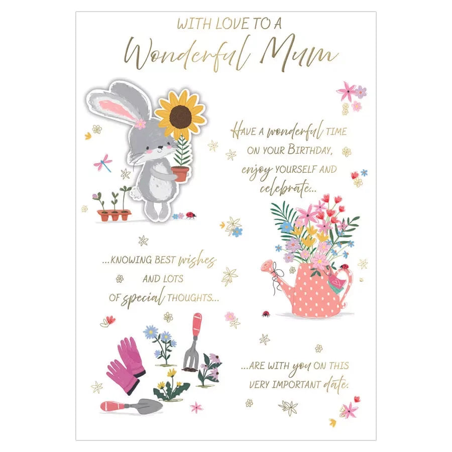 with  love  to a  wonderful  mum birthday card