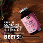 Flora Bio-Rote-Bete-Kristalle – Energetisierendes Rote-Bete-Superfood, Stickoxid-Booster, vegan (198 g)