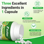 Tbivfller Probiotics for Women & Men — 300B CFU, 24 Strains, 15 Organic Herbs, 4 Month Supply