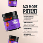 FreshCap Mushrooms Lions Mane Supplement Powder – 14,000mg per Serving, Organic Lions Mane Extract for Focus & Memory (60 Servings)