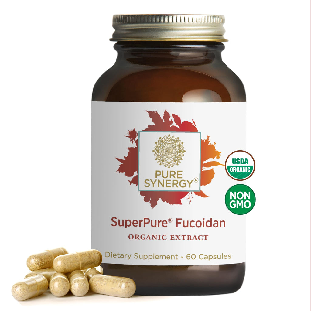 PURE SYNERGY SuperPure Fucoidan-Extrakt | Bio-Braunalgen | Unterstützung für Immunsystem, Verdauung & gesundes Altern (60 Kapseln)
