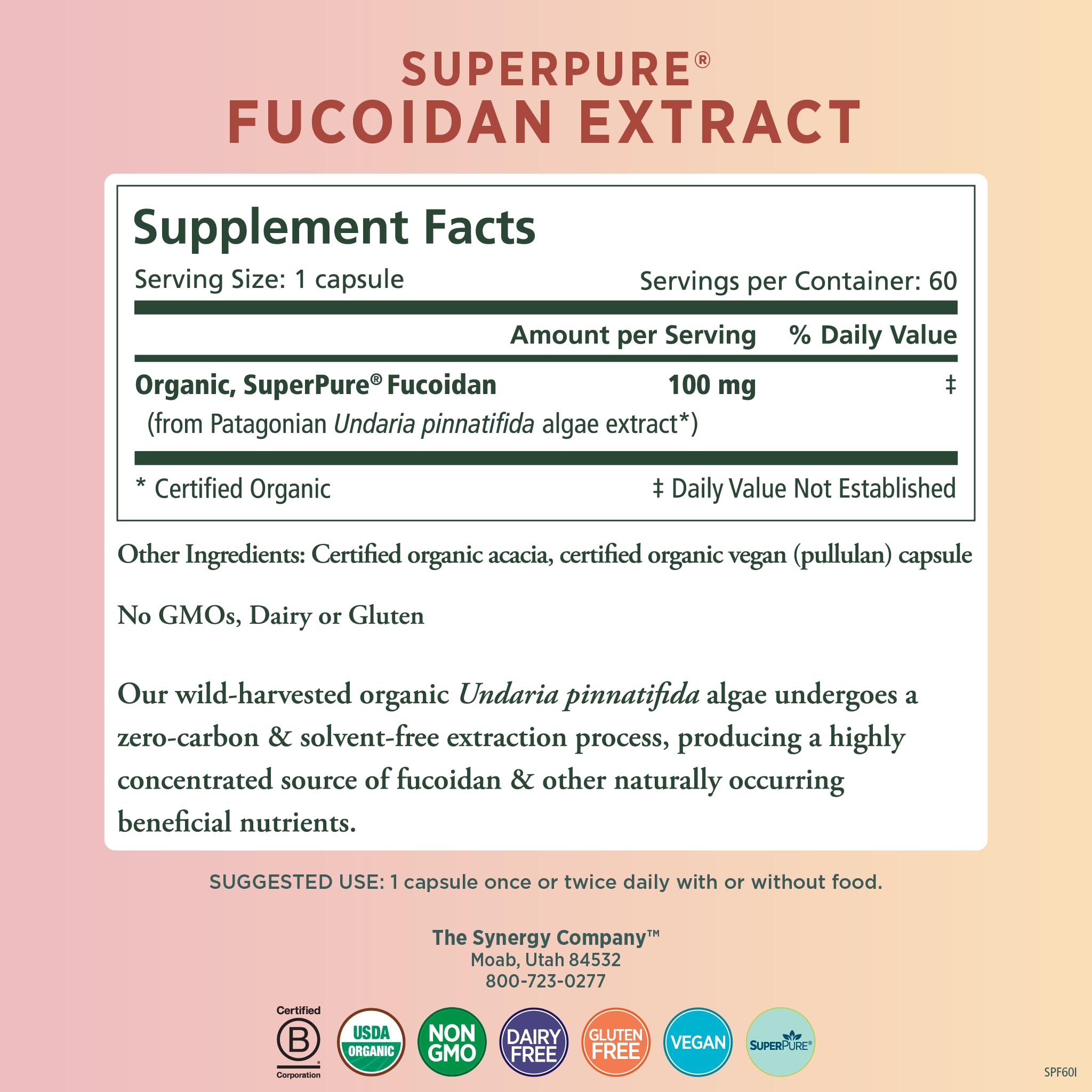 PURE SYNERGY SuperPure Fucoidan-Extrakt | Bio-Braunalgen | Unterstützung für Immunsystem, Verdauung & gesundes Altern (60 Kapseln)