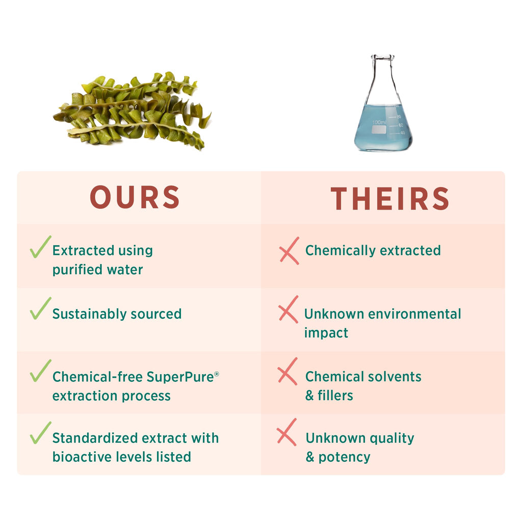 PURE SYNERGY SuperPure Fucoidan-Extrakt | Bio-Braunalgen | Unterstützung für Immunsystem, Verdauung & gesundes Altern (60 Kapseln)