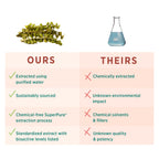 PURE SYNERGY SuperPure Fucoidan-Extrakt | Bio-Braunalgen | Unterstützung für Immunsystem, Verdauung & gesundes Altern (60 Kapseln)