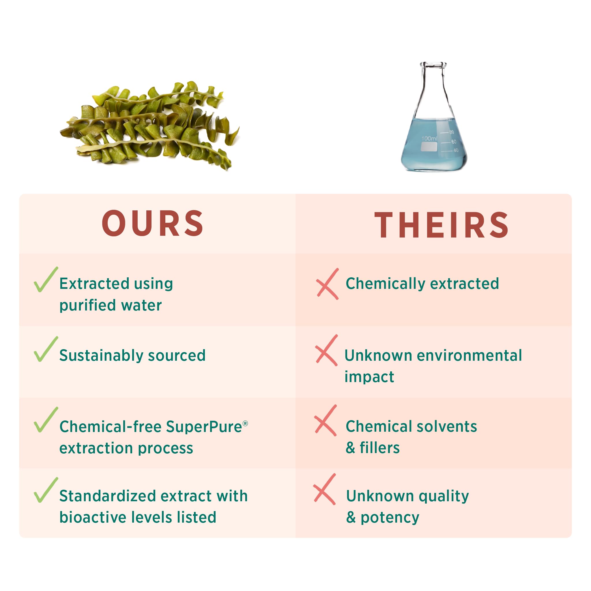 PURE SYNERGY SuperPure Fucoidan-Extrakt | Bio-Braunalgen | Unterstützung für Immunsystem, Verdauung & gesundes Altern (60 Kapseln)