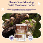 Fuel Nutrition Pro Collagen & Mushroom Coffee for Weight Loss | Low Caffeine Organic Instant Coffee