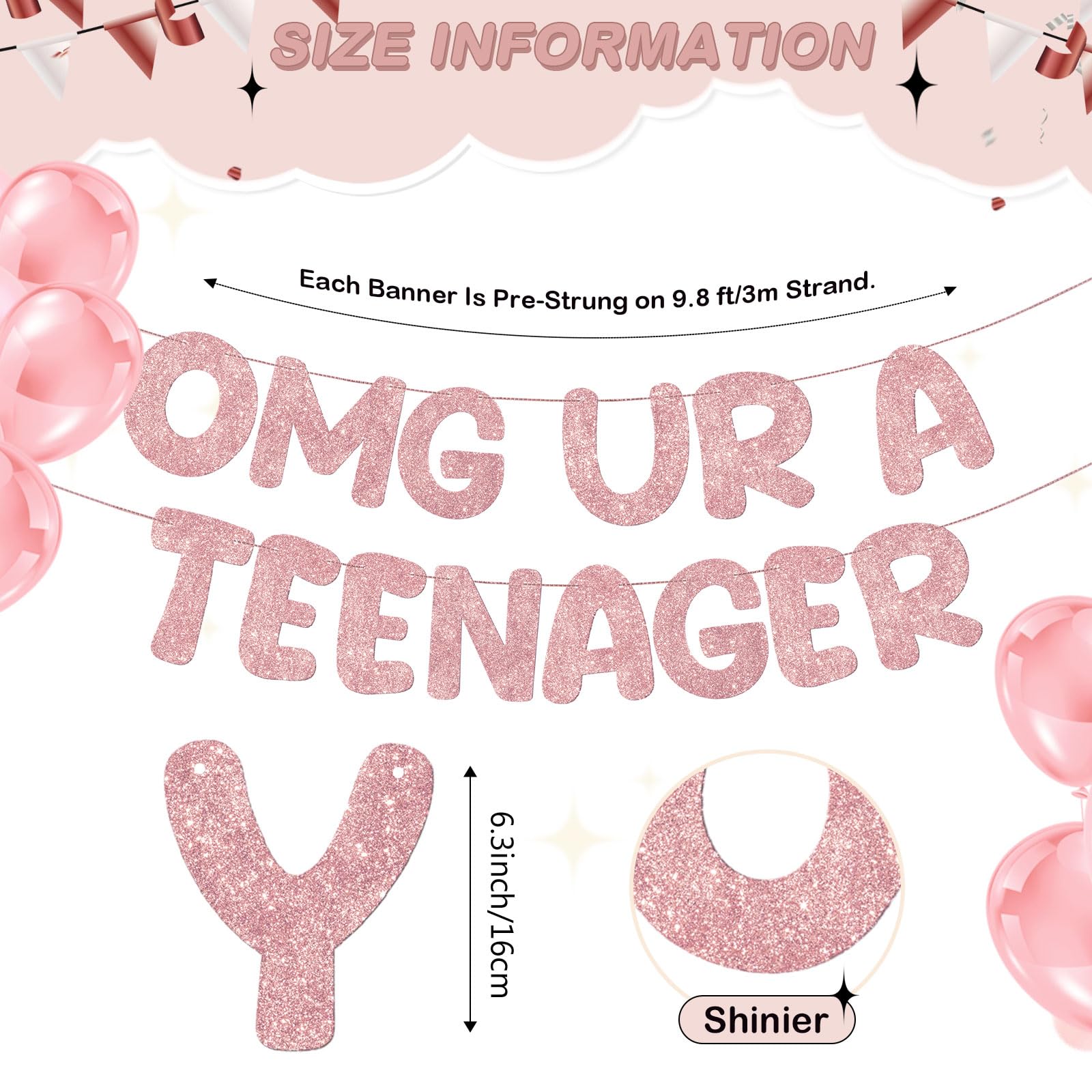 Fulmoon OMG Ur a Teenager Glitter Banner - 13th Birthday Decor (Rose Gold)
