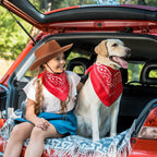 Funtery 20-Pack Kids Cowboy Hats with Red Bandanas - 10 Sets Western Party Costume Accessories