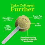 Further Food Matcha Collagen Peptides Powder – Organic Matcha & Cordyceps, 10.62 oz