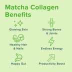 Further Food Matcha Collagen Peptides Powder – Organic Matcha & Cordyceps, 10.62 oz