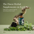 Gaia Herbs Black Elderberry Syrup - Immune Support - Organic Sambucus nigra - 5.4 Fl Oz (32-Day Supply) - USDA Certified Organic