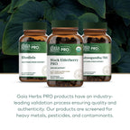 GAIA HERBS PRO Black Elderberry PRO - Immune Support*, Organic Elderberry Extract, Vegan, 120 Capsules (60 Servings)