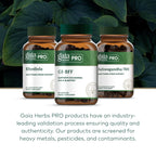 GAIA Herbs PRO GI-BFF Digestive Health | Benegut, Organic Fennel & Cinnamon Bark - 60 Caps