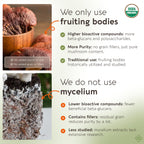 Longevity Botanicals Organic Reishi Extract Powder 100g | 10:1 Concentrate | 100% Fruiting Bodies