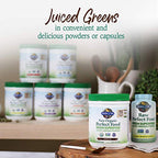 Garden of Life Raw Organic Perfect Food Chocolate – Green Superfood with Probiotics & Enzymes