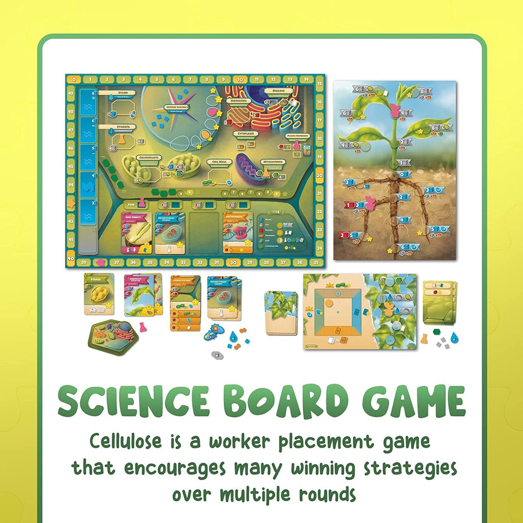 Genius Games Cellulose: A Plant Cell Biology Game | Mensa-Recommended STEM Board Game