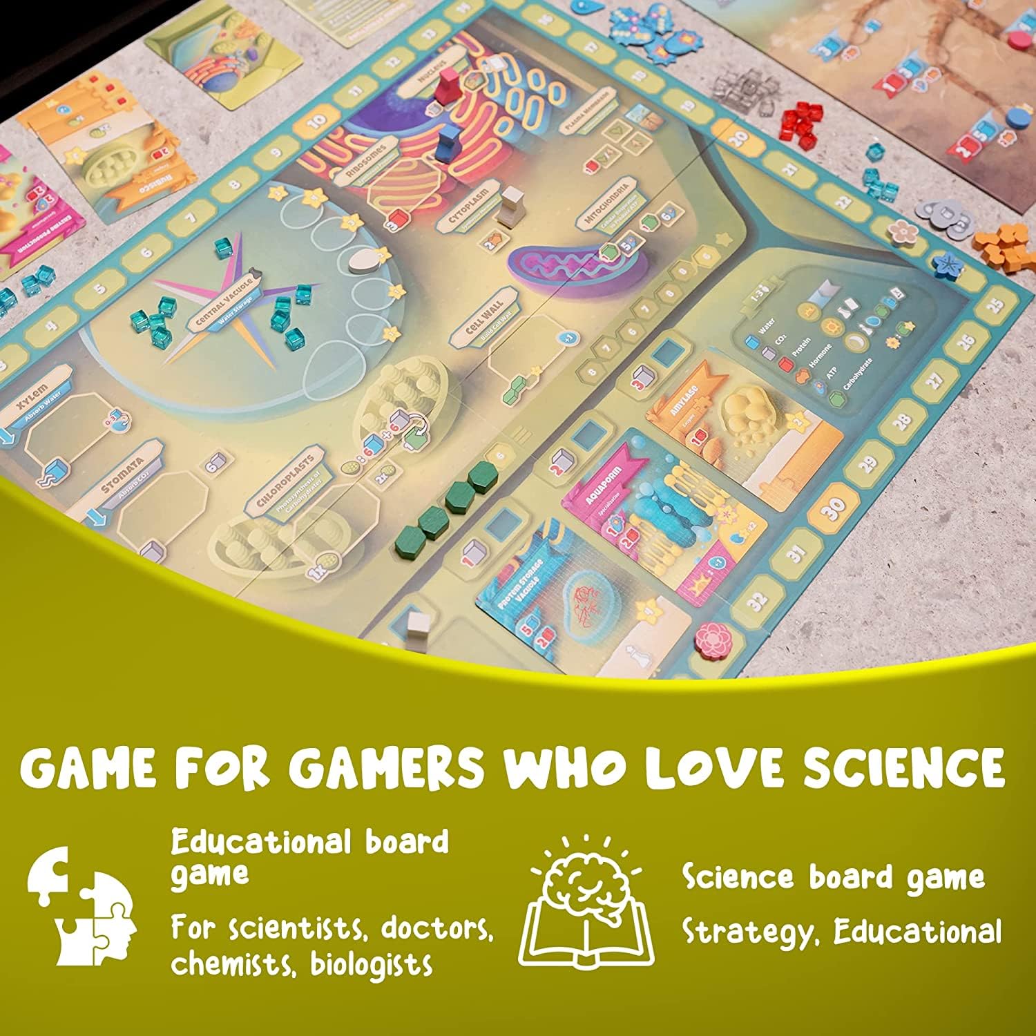 Genius Games Cellulose: A Plant Cell Biology Game | Mensa-Recommended STEM Board Game