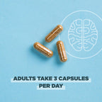 Ancient Nutrition Regenerative Organic Certified Focused Brain Capsules - Ginkgo Leaf & Lion's Mane, Gluten Free, Paleo & Keto (90 Count)