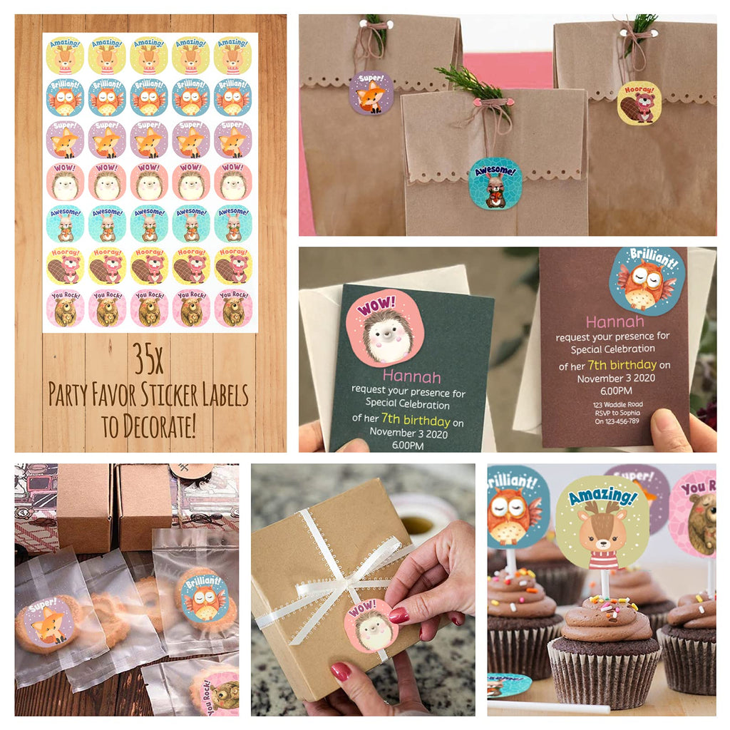 Glittery Garden Woodland Themed Party Hats Making Kit with Chenille Stems & Stickers | 16 Hats, 113 Stickers