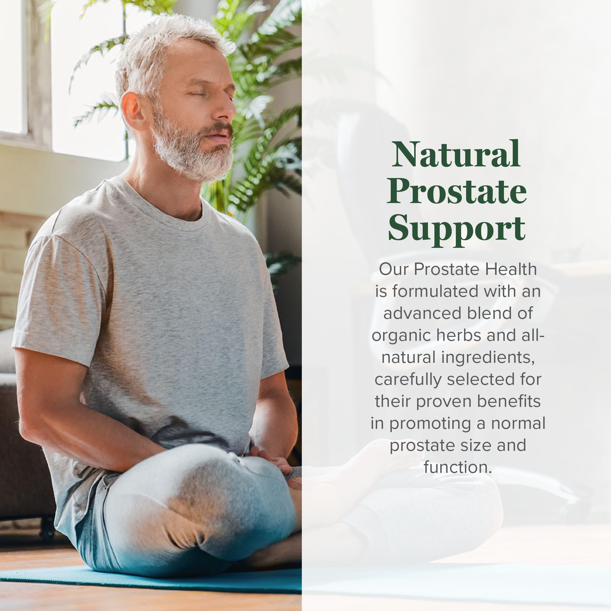 Global Healing Bio Prostatagesundheit – Nahrungsergänzungsmittel für Männer | Unterstützung der Prostata & Harntraktkomfort – 59 ml