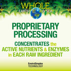 Whole Earth & Sea Organic Fermented Protein & Greens – Vanilla Chai