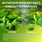 2 Pack Organic Spirulina & Chlorella Gummies – Pineapple Flavor, Vitamin C & Zinc