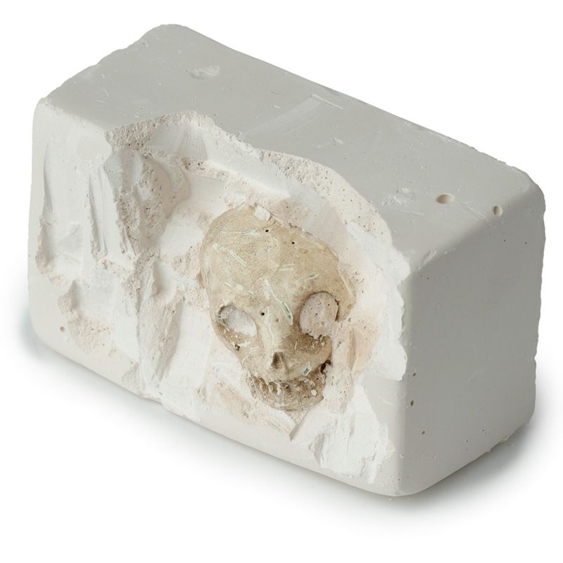 Gothic Gifts Skull Dig It Out Kit