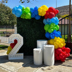 Govpy Rainbow Primary Color Latex Balloons – 60pcs 12in Set for Kids Birthday, Baby Shower & Events