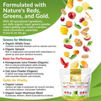 Granite Nutrition Vital Shield – USDA Organic Greens, Mushrooms & Tart Cherry (30 Servings)