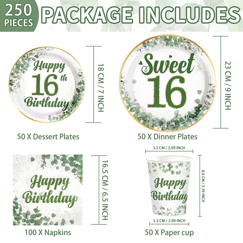 Greencian 250 Pcs Sweet 16 Sage Green Party Tableware Set – Serves 50