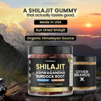 Organic Shilajit Gummies with Sea Moss & Ashwagandha – Watermelon Flavor, 60ct – Vegan, Non-GMO, Made in USA