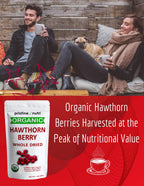 1.5 lb Organic Hawthorn Berries – Dried Bulk for Tea | Heart Health & Stress Relief