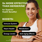 HealMeal Dihydroberberine – Organic Berberine with Cinnamon & RLA, 120 Caps