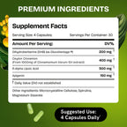 HealMeal Dihydroberberine – Organic Berberine with Cinnamon & RLA, 120 Caps