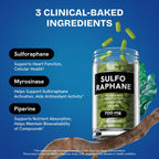 Healthbiotics Sulforaphane Supplement | Organic Broccoli Sprouts & Stabilized Sulforaphane – 240 Pills (2 Packs)
