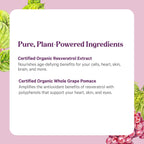 Pure Synergy SuperPure Resveratrol Extrakt | Bio Trans-Resveratrol mit Traubenpolyphenolen - 60 Kapseln